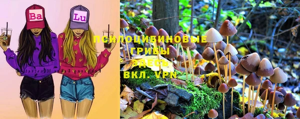 мяу мяу мука Алексеевка