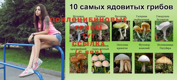 мяу мяу мука Алексеевка