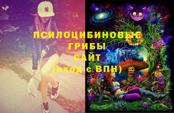 a pvp Пересвет