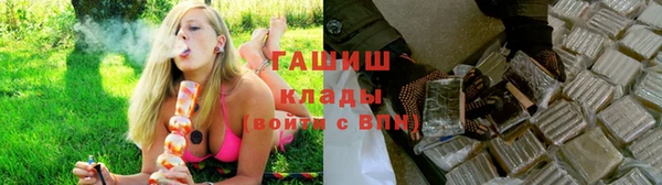a pvp Пересвет