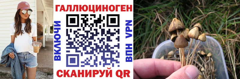 Псилоцибиновые грибы прущие грибы продажа наркотиков Любань
